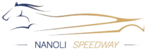 Nanoli Speedway Logo - The perfect destination for racing enthusiasts